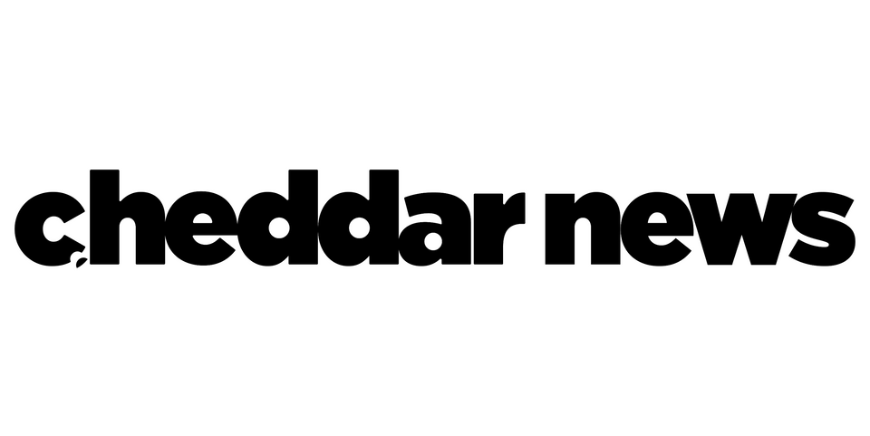 Cheddar news logo